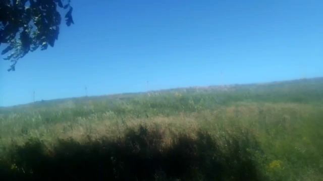 Противопожарное опахивание — вспашка грунта вокруг пожароопасного участка для предотвращения.......