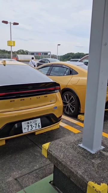 Два солнышка....