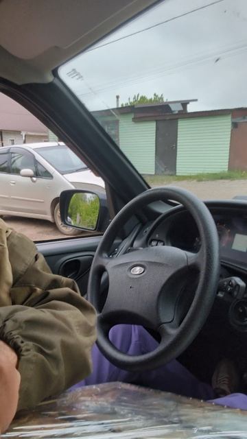 картина от подписчика