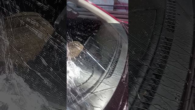 1000037504.mp4