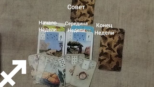 СТРЕЛЕЦ ♐ Таро-прогноз на неделю с 2 по 8 июня