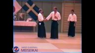 71 Aikido Ai Hanmi Udekimenage Nishio Sensei Uppsala 1995