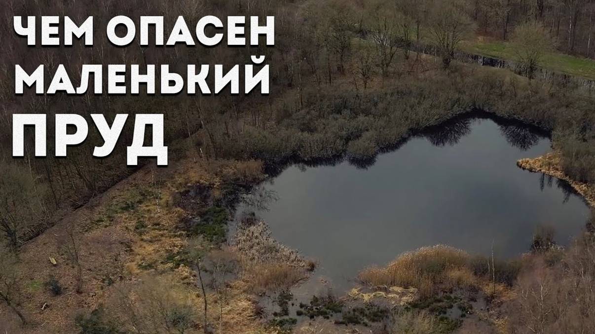 КАК СТОЯЧАЯ ВОДА МОЖЕТ ТЕБЯ УБИТЬ. ЛЕПТОСПИРОЗ