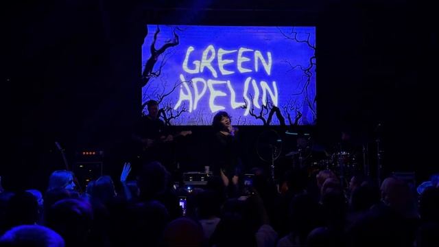 Green Apelsin - Жулик (Live • Владивосток • 20.03.2024)