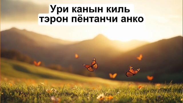 Бабочки монарх кор +2 тона