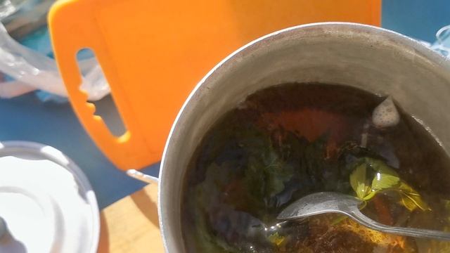 VID_20250529_092252