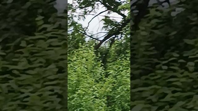 1000000610.mp4