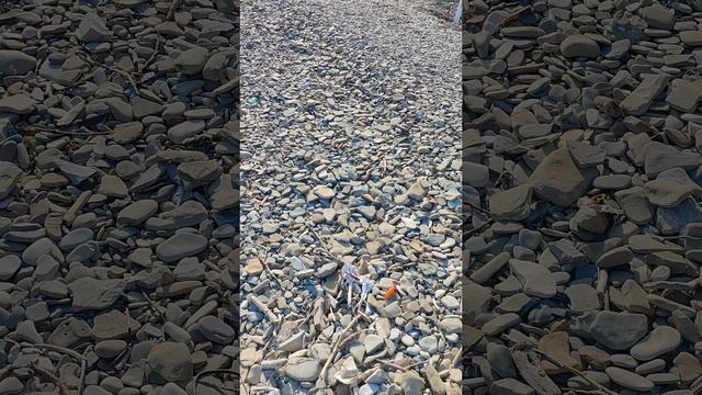 джубга31.05.25.mp4
