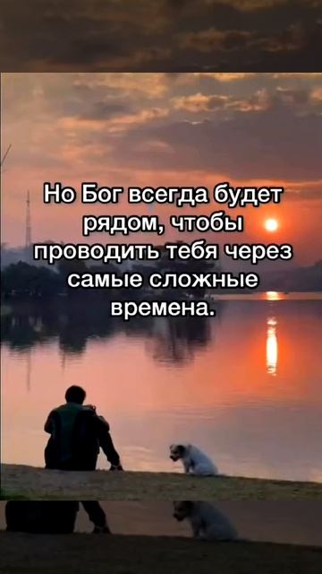 Цитата про жизнь