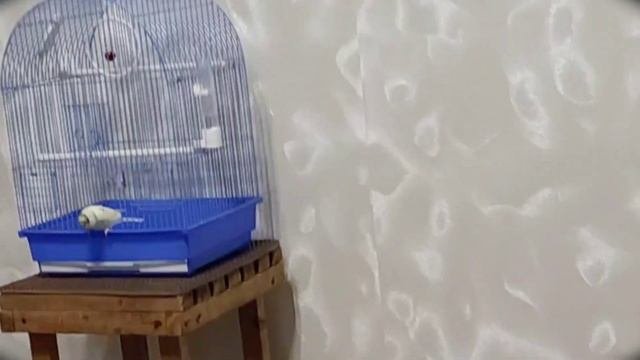 ❤🔥Кето день четвëртый/уход за кожей лица и тела.