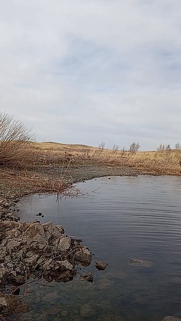 любительское рыбалка