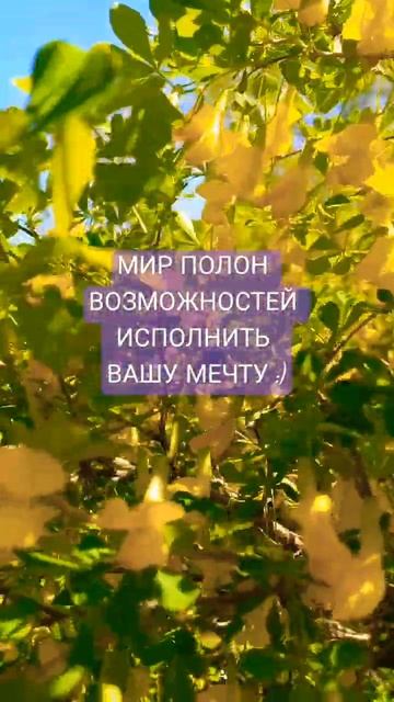 ВАШИ ВОЗМОЖНОСТИ #природа #красота #мир #психология #Настрой #мотиватор