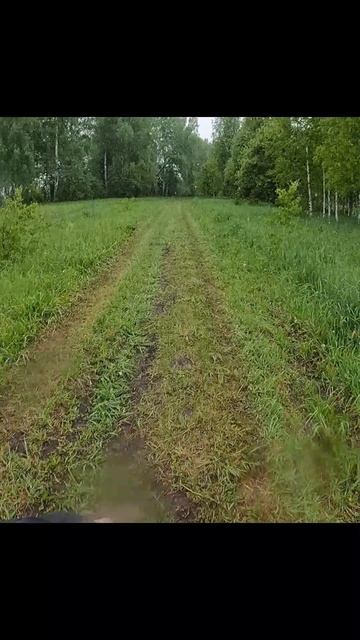 Снег в лицо.