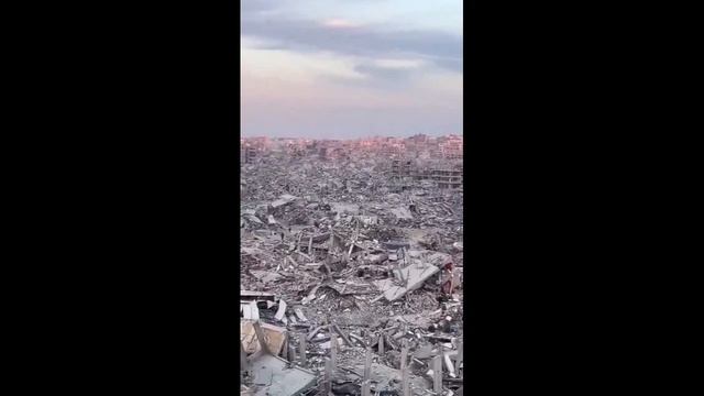 Сектор Газа Сегодня...
