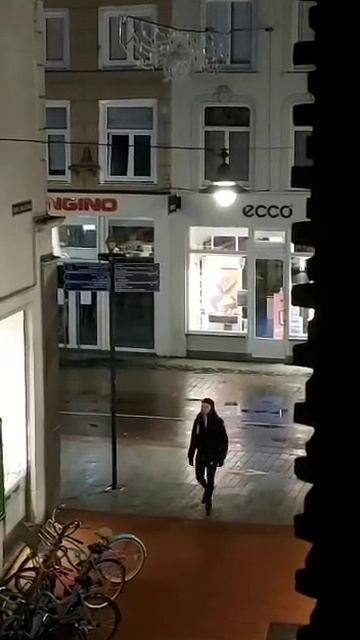 Уличные беспорядки в Нидерландах