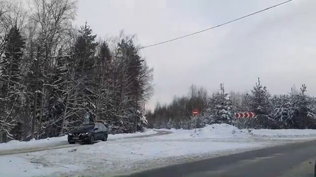 Дорога из Москвы на дачу Жёсткая пурга на даче