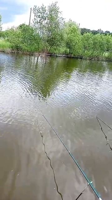 Отдых и Рыбалка.Шуморово