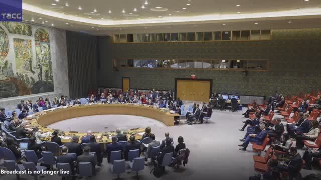 Василий Небензя. Заседание Совета Безопасности ООН по Украине