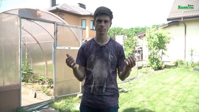 Как защитить растения от жары в знойное лето