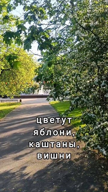 двадцать пятого 25