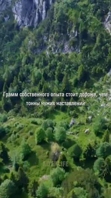 Цитаты для саморазвития #short #shorts #money