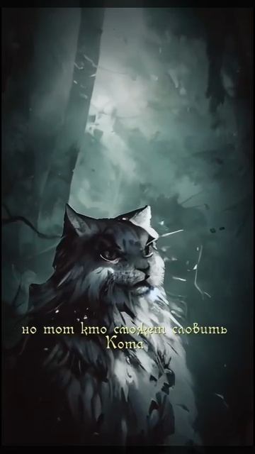 КОТ БАЮН
