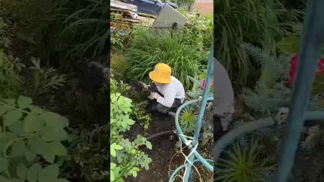 1000005949.mp4