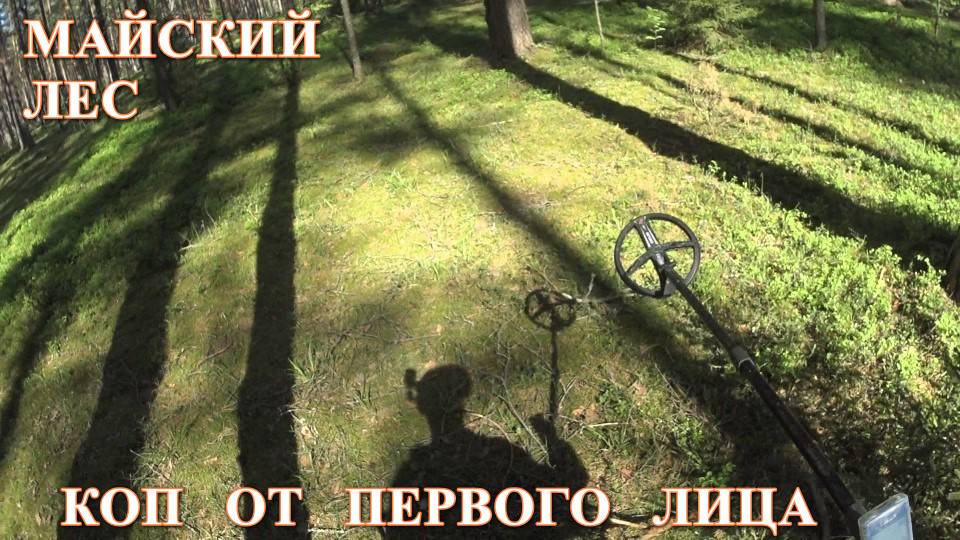 БРОДИЛКА ПО ЛЕСУ  С  МЕТАЛЛОИСКАТЕЛЕМ / МАЙ 25