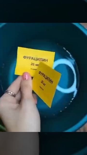 VID_20250531_104510_146