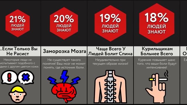 Факты О Боли