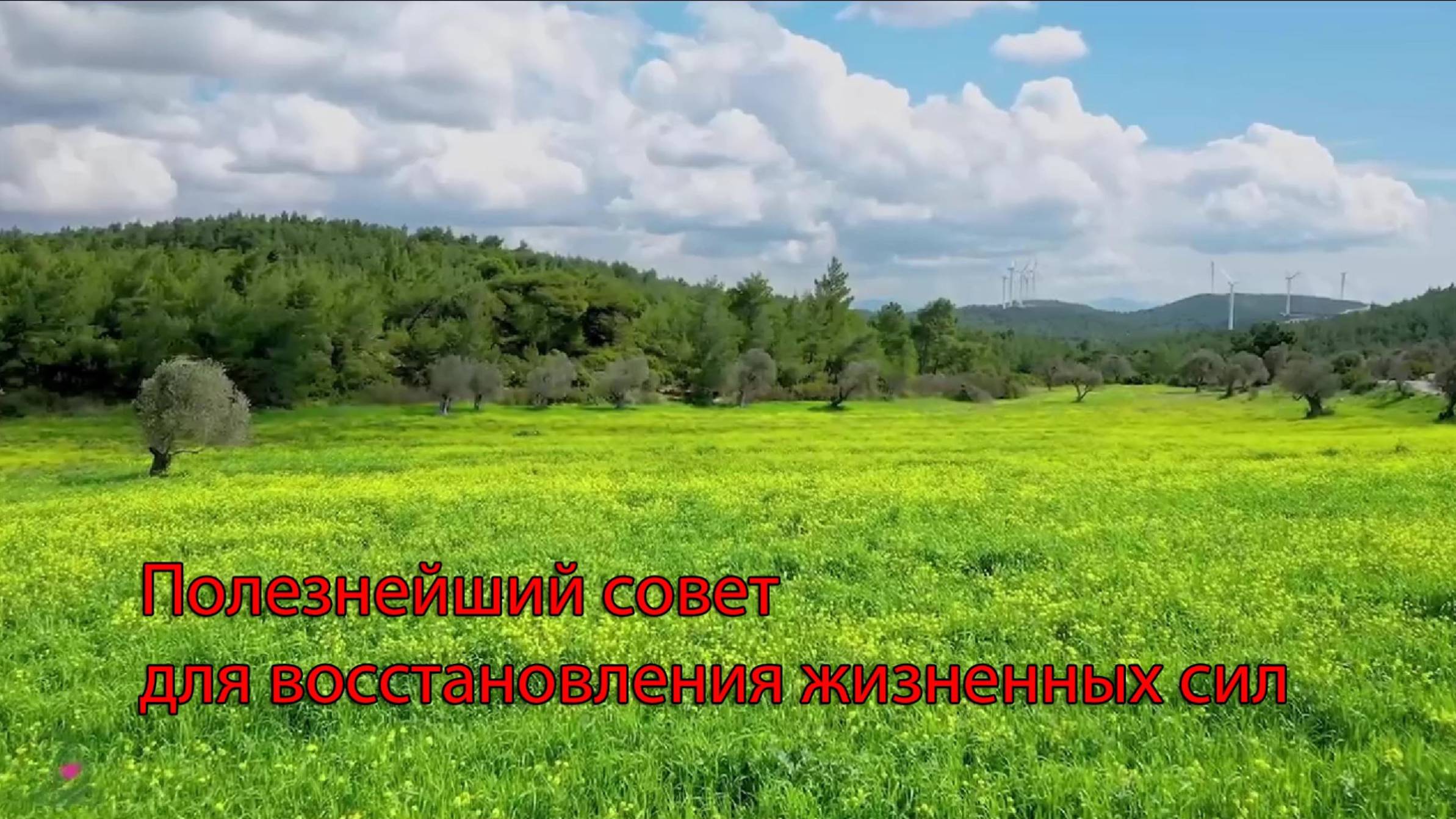 Полезный совет для восстановления жизненных сил