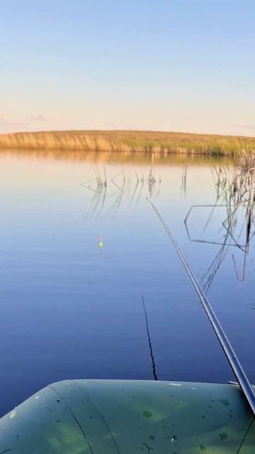поклёвки 🐟🎣