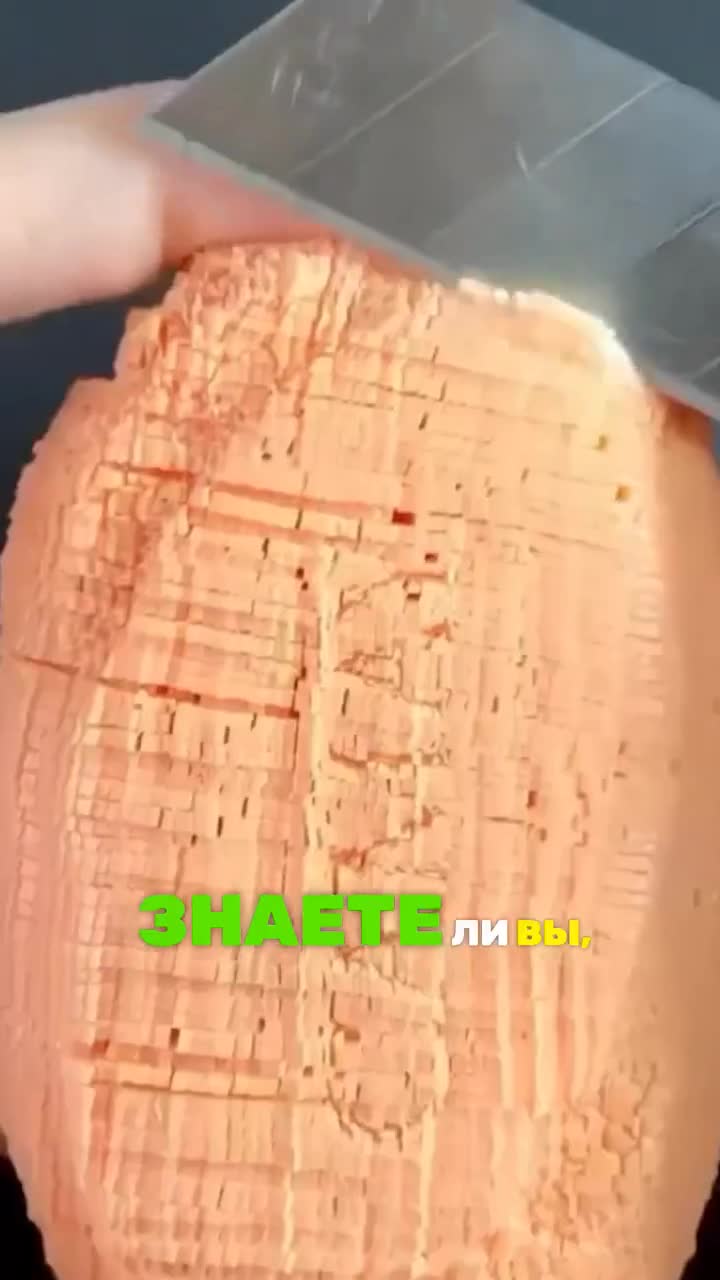 Как появилось МЫЛО?