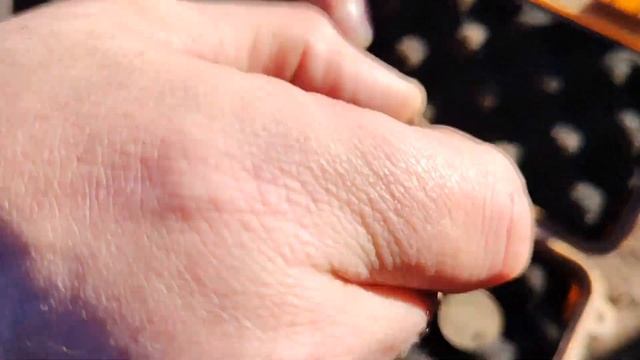 Царские серебряные монеты по весне попёрли