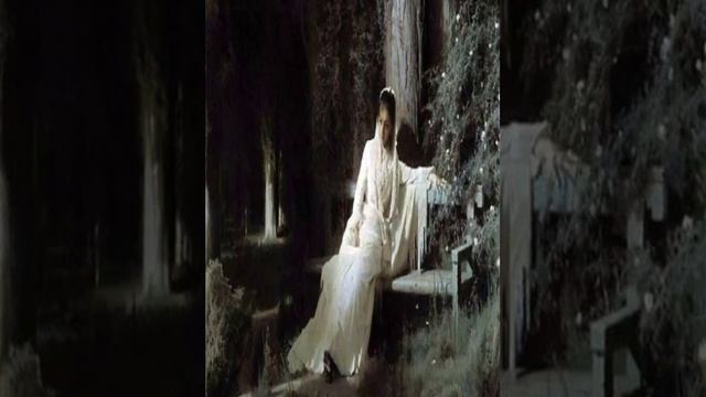 П.И.Чайковский на слова А.Н. Апухтина "Ночи безумные..."
