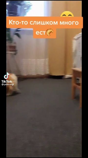 кто-то слишком много ест