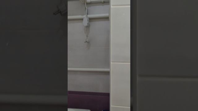 VID_20250531_133805.mp4