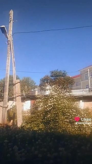 улица
