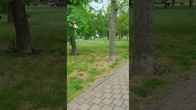 Парк Максима Горькова в Ейске, бесплатный зоопарк в Ейске, храмы, памятники, парк аттракционов