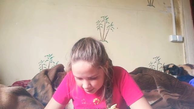 Акинатор угадывает Милану, Настю Кош, Лисичку Элину, Свасти Джи, Афинку DIY🦄