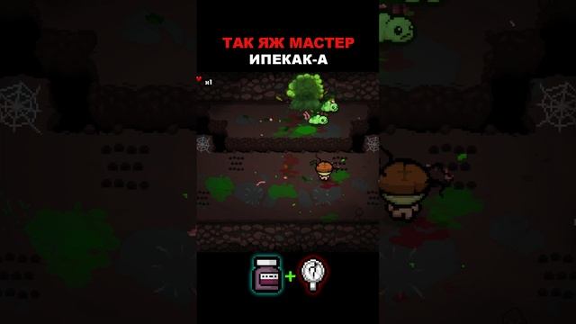 ТАК ЯЖ МАСТЕР ИПЕКАК'А