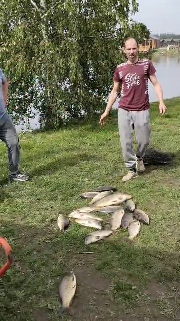 31-05-2025