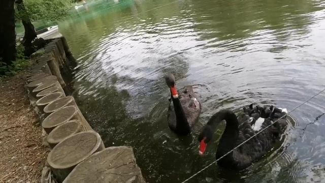 Парк "Сад будущего в Москве.    В 16 веке  название было Леоновское в честь хозяина  села.
