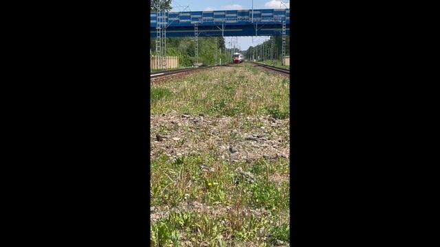 БОЛЬШИЕ ПОЕЗДА ( подарок на лето)