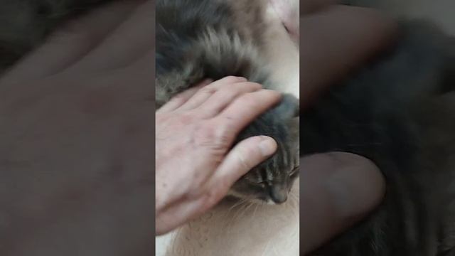 Юнька любит коробки!16.03.24 г.