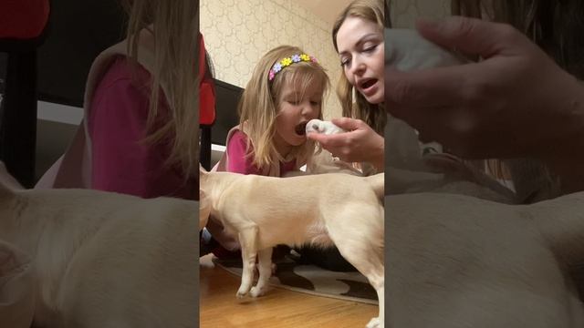 первые эмоции на щеночка в доме ❤️🔥