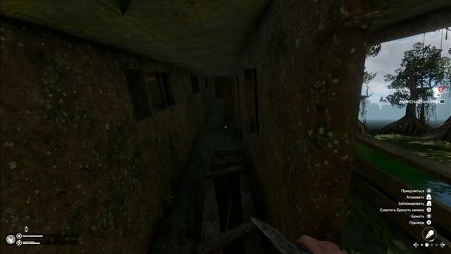 Странный ребенок, Пароход, Карта | Green Hell | Духи Амазони?