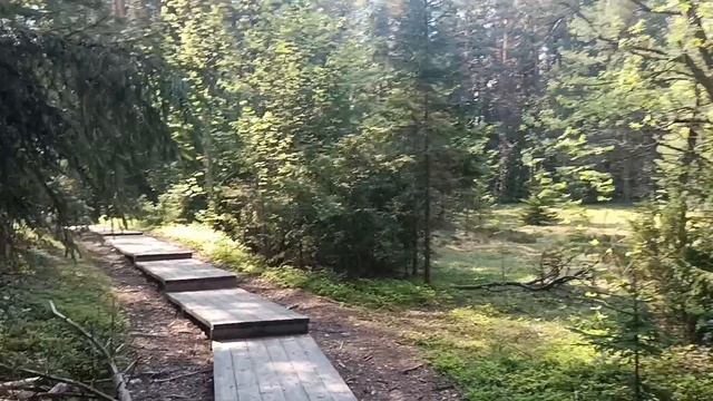 31-05-2025 БЕСОВ НОС