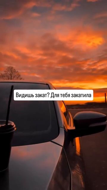 Цитата