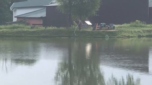 утренние поимки на малом водоёме